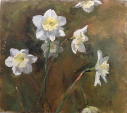 Brookside Daffodils